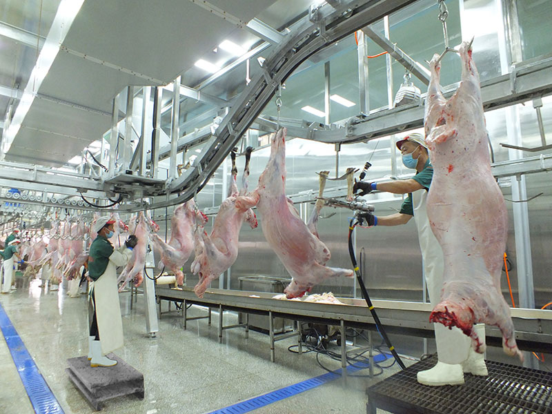 屠宰加工